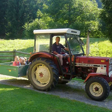 Farm stay Klieber - Urlaub Am Biobauernhof